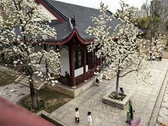 -堤角公园