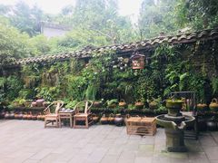 -青城甲(青城山店)