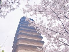 -西安博物院