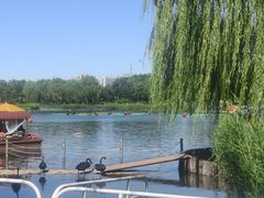 -西海子公园