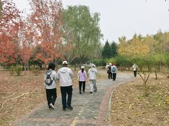 -永定河休闲森林公园
