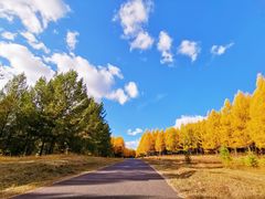 -塞罕坝国家级自然保护区