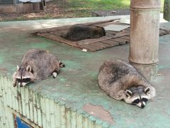 -秦皇岛野生动物园