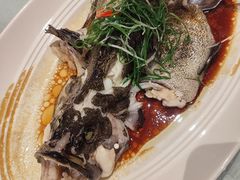 -稻香酒家·34年老字号·港式粤菜(侨光店)