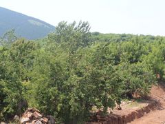 -锦屏山旅游度假区