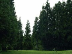 -乌蒙大草原