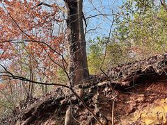 -敬亭山风景名胜区