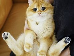 -百信宠物医院(东升街店)