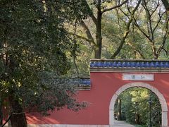 -灵谷景区