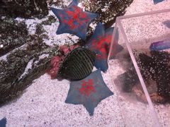 -沈阳海洋探索中心