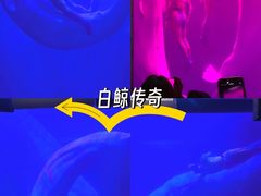 -大连圣亚海洋世界
