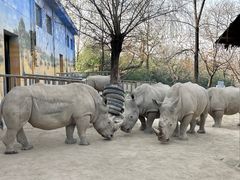 -西安秦岭野生动物园