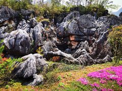 -千岛湖石林