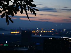 -小南山公园