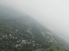 -大金鹰园