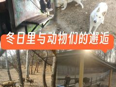 -大连森林动物园