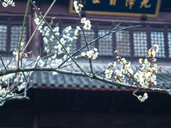 -钱王祠