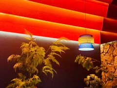 -芸山季·云南野生菌火锅(人民广场来福士店)