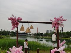 -桂溪生态公园