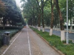 -后襄河公园