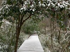 -老味道1992(武当山店)