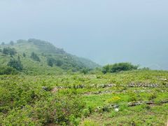 -妙峰山风景名胜区