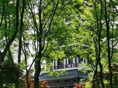 -宜兴龙背山森林公园
