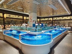 水产区-渔人码头(中南店)