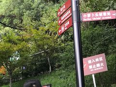 -重庆歌乐山烈士陵园