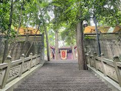 -都江堰普照寺
