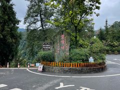 -碧峰峡风景区