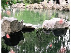 -趵突泉景区