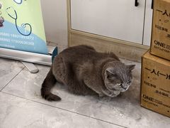 -贝康宠物医院·犬猫全科·小动物特色诊疗中心(东环路店)