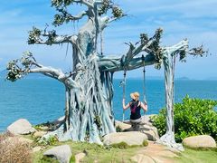 -海南分界洲岛旅游区