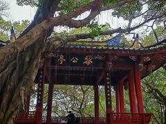 -乌山风景区