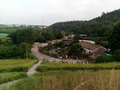 -水库河鲜村
