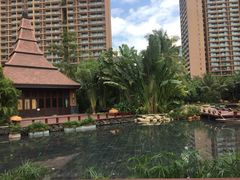 -三亚湾红树林度假世界(木棉酒店)