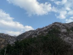 -龙泉峪长城