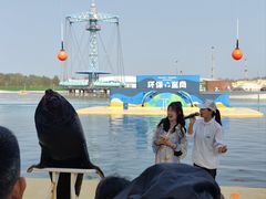 -秦皇岛乐岛海洋王国