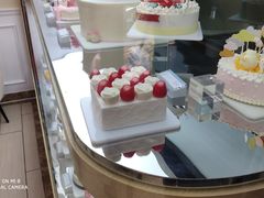 -蒲公英(五里店)
