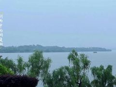 -陈大锅·岳阳鱼馆·地道岳阳菜(美食街店)