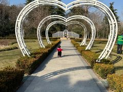 -昆山城市生态森林公园