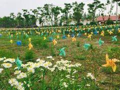 -上海长兴岛郊野公园