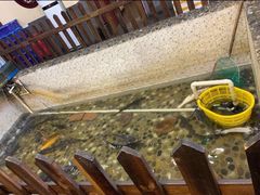 -白洋淀灶台鱼(名佳花园店)