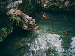 -无锡惠山寺