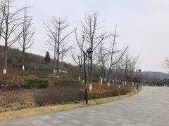 -南山风景名胜区
