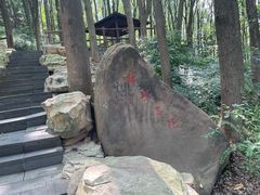 -铁山坪森林公园