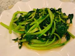 -文三里屯面馆(三里屯店)