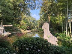 -南山植物园