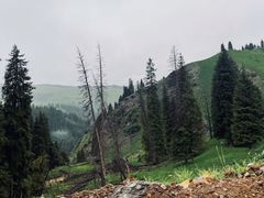 -江布拉克景区怪坡停车场